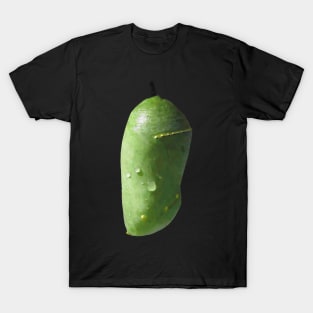 Monarch Chrysalis T-Shirt